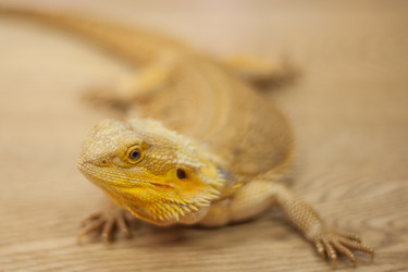 Similar image 21827562