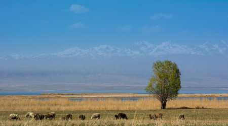 Similar image 21827564