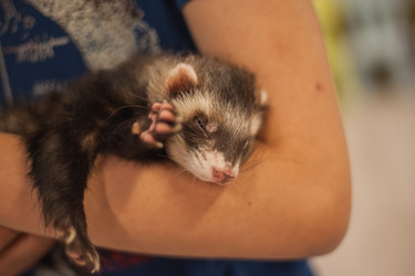 Similar image 21827565