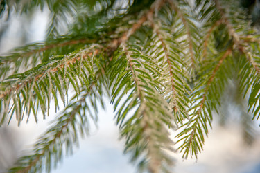 Similar image 21828099