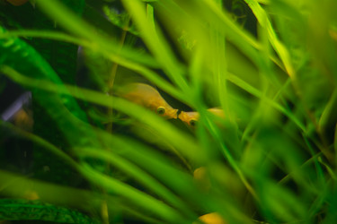 Similar image 21828100