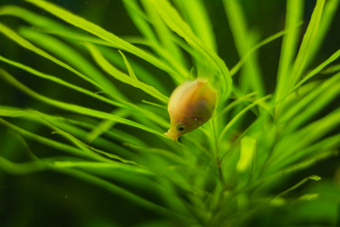 Similar image 21828102