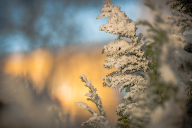 Similar image 21828105