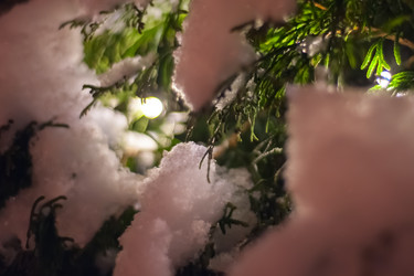 Similar image 21828109