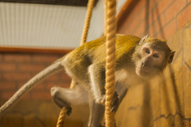 Similar image 21828111