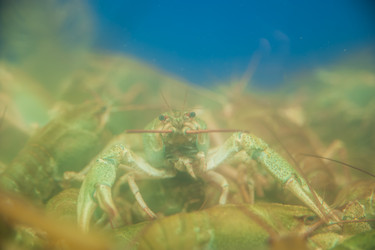 Similar image 21828120