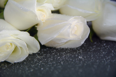 Similar image 21828125