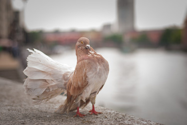 Similar image 21828126