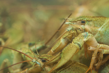 Similar image 21828127