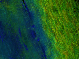 Similar image 21822011