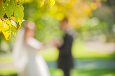 Similar image 21828279