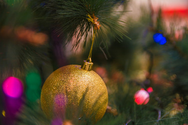 Similar image 21827570