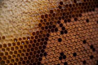 Similar image 21827593