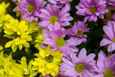 Similar image 21827594