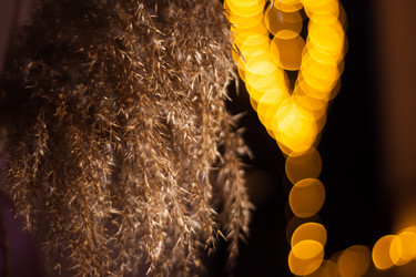 Similar image 21827595