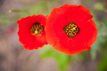 Similar image 21827596