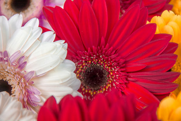 Similar image 21827597