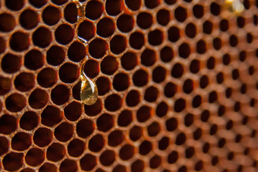 Similar image 21827607