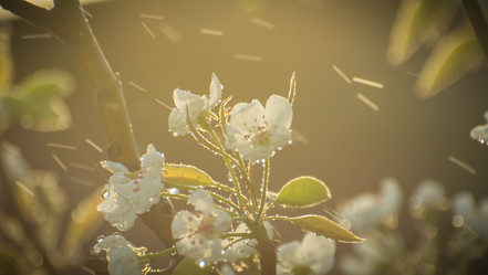 Similar image 21827608