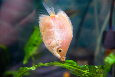 Similar image 21827609