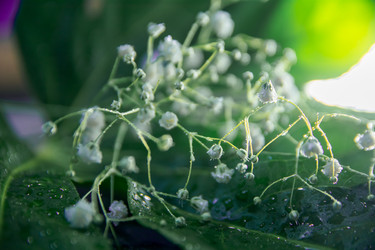 Similar image 21827610