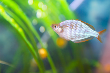 Similar image 21827613