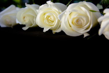 Similar image 21827617