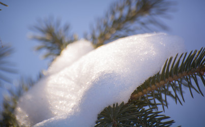 Similar image 21827624