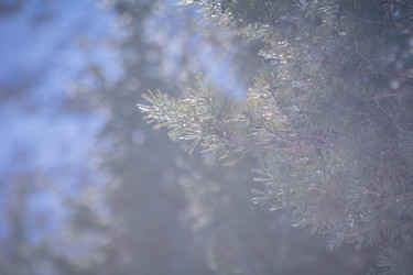 Similar image 21827626