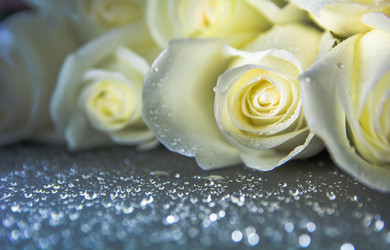 Similar image 21827629