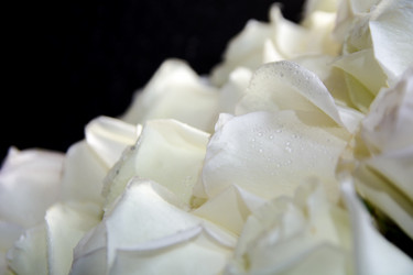 Similar image 21827631