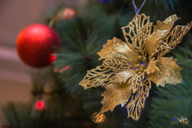 Similar image 21827639