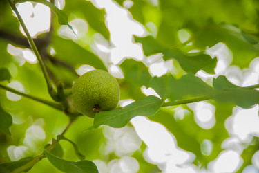 Similar image 21827641