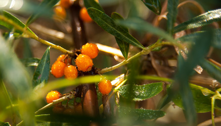 Similar image 21827643