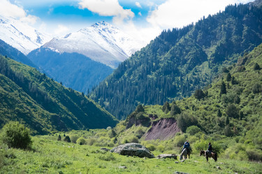 Similar image 21827649