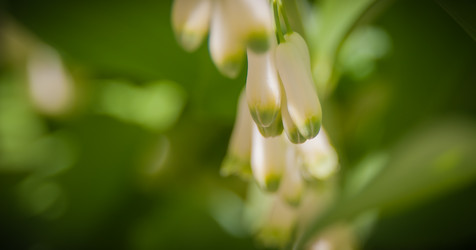 Similar image 21827659