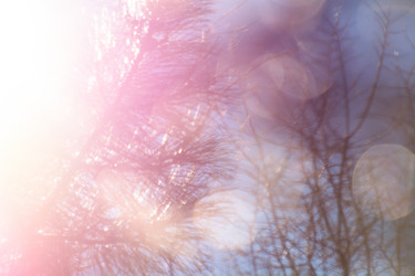 Similar image 21827661