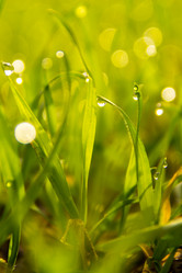 Similar image 21827665