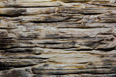 Similar image 21827670