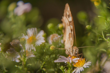 Similar image 21823163