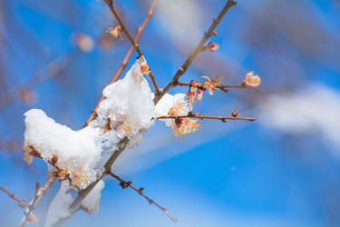 Similar image 21823166