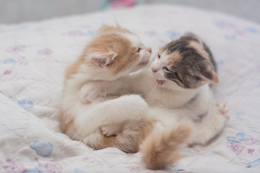 Similar image 21823169