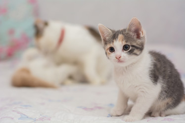 Similar image 21823172