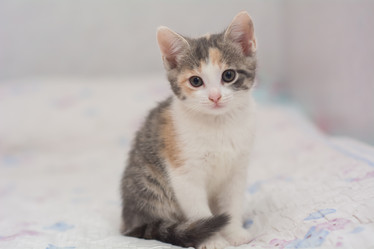 Similar image 21823174