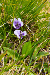 Similar image 21823363