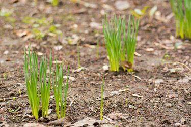 Similar image 21823364