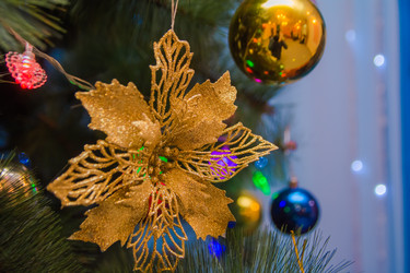 Similar image 21823112