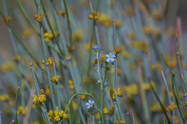 Similar image 21823176