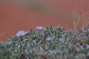 Similar image 21823179