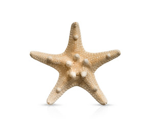 Similar image 21825796